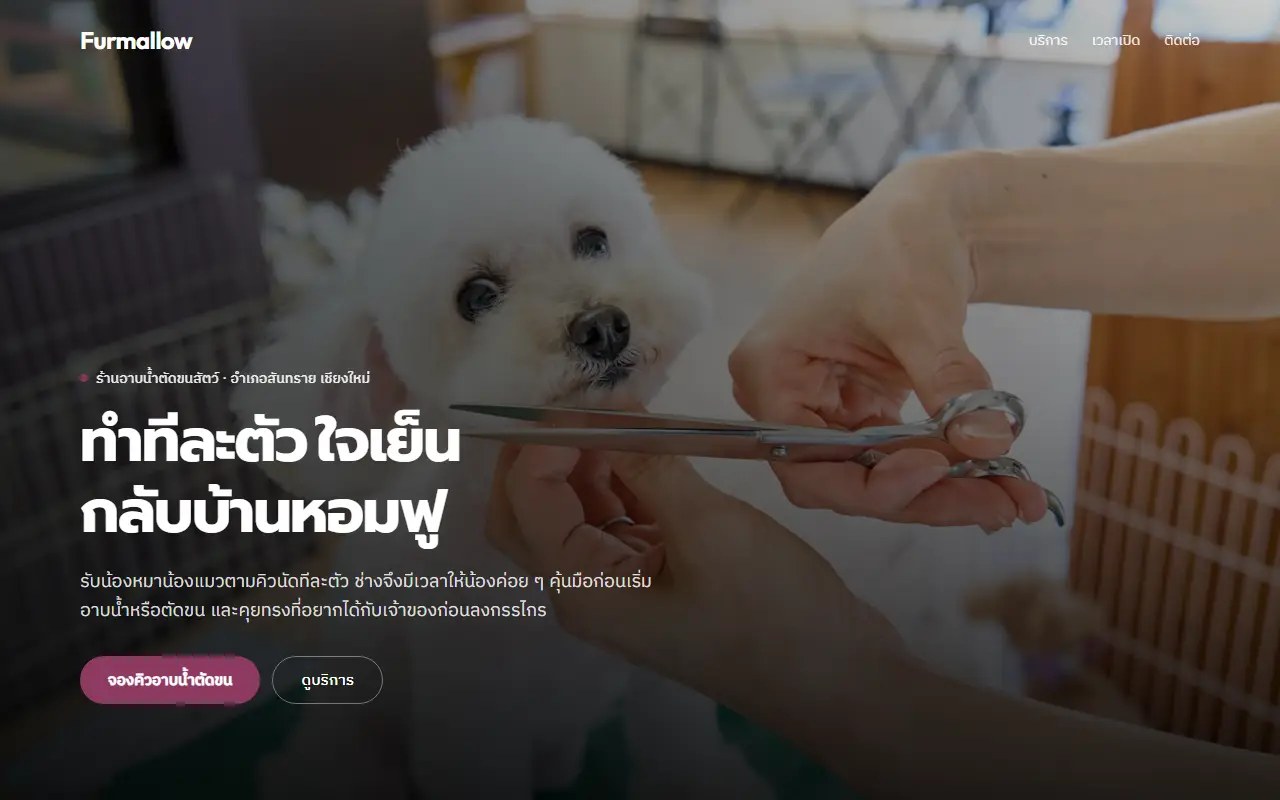 หน้าแรกของเว็บตัวอย่าง Furmallow